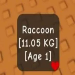 Colossal Racoon