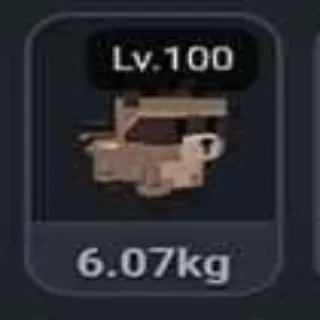 Huge Racoon