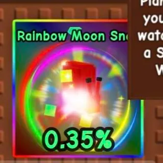 Rainbow Moon Snail