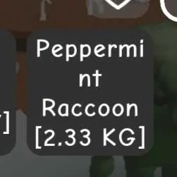 Peppermint Racoon