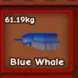 Huge Blue Whale