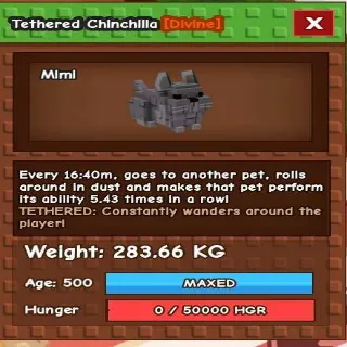 Huge Tethered Chinchilla