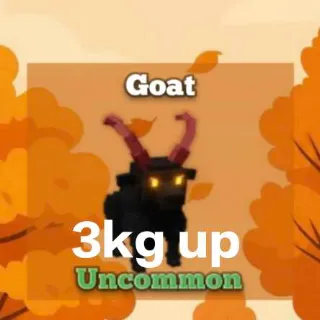 Semi Huge Goat