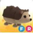 FR HEDGEHOG