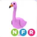 NFR FLAMINGO