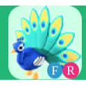 Adopt me - Fr peacock