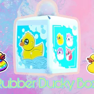 x25 Rubber Ducky Box