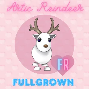 Artic Reindeer FR