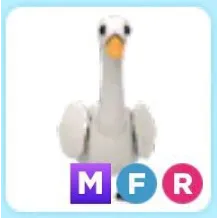 MFR swan