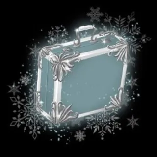 Frozen Luggage