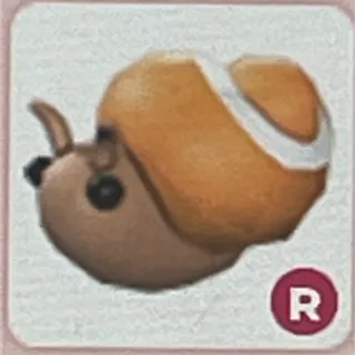 Trapdoor Snail ride