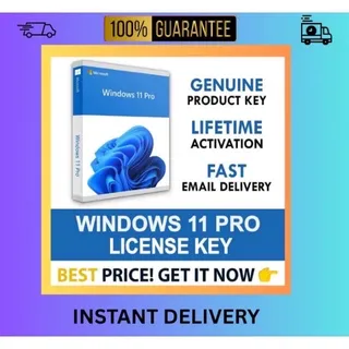 WINDOWS 11 Pro