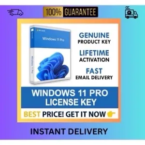 WINDOWS 11 Pro