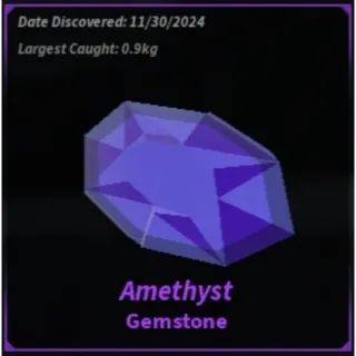 5x Amethyst | Fisch