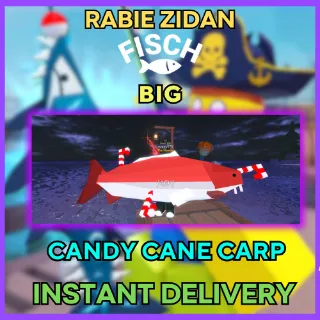 BIG CANDY CANE CARP - FISCH