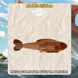 Lunar Stringed Grouper - Fisch