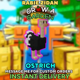 x2 OSTRICH