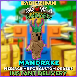 x2 MANDRAKE