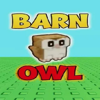 Barn Owl