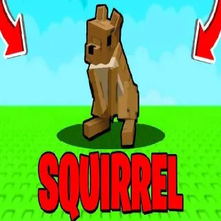Squirrel