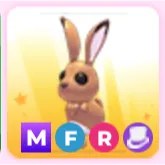 Mfr Hare