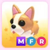 Mfr French Bulldog