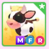 Mfr Cow Calf
