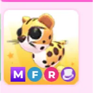 Mfr Cheetah
