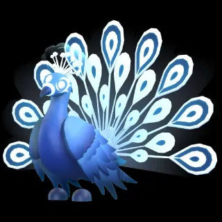 Moonbeam Peacock