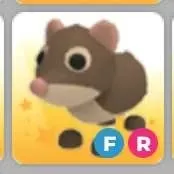 FR Shrew