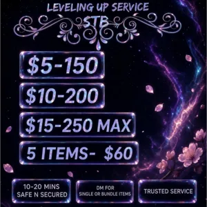 level up service