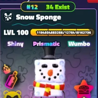 SW Snow Sponge