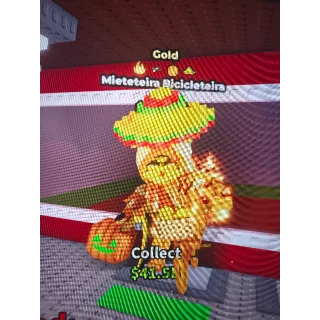 Mieteteira Bicicleteira Gold 461.5M/s