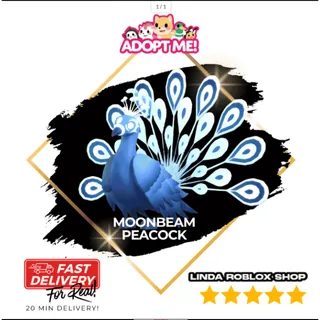 Moonbeam Peacock