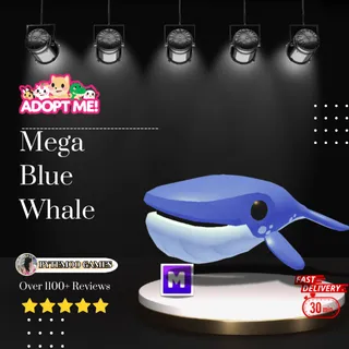Mega Blue Whale in Adoptme 