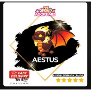 Aestus FR 