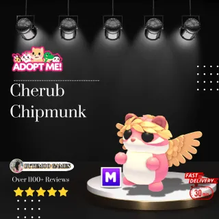 Mega Cherub Chipmunk