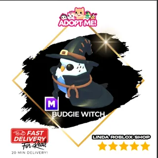 2x Mega Budgie Witch 