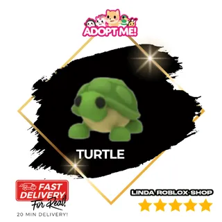 Turtle  FR 