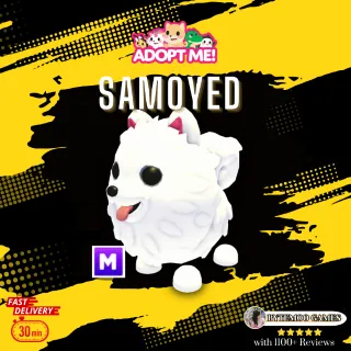 Mega Samoyed - 15min Delivery