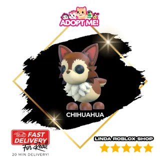 Chihuahua