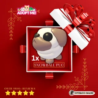 Snowball Pug Newborn