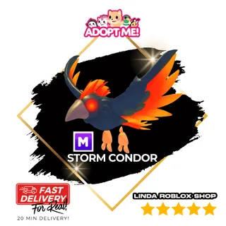 Mega Storm Condor 
