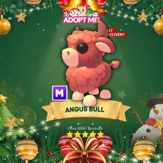 Mega Angus Bull adm