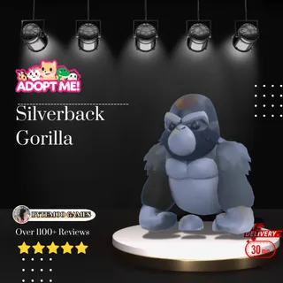 SilverBack Gorilla 