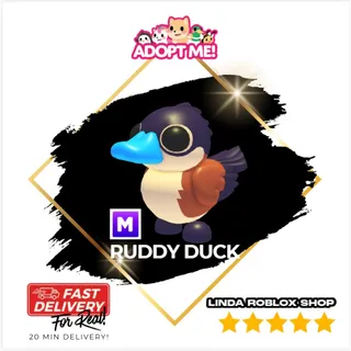 4X MEGA RUDDY DUCK 