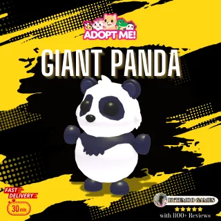 Giant Panda FR  - Adm