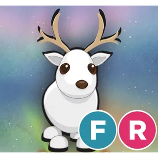  Arctic Reindeer FR 