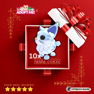 10x Maine Coon Newborn