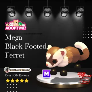  Mega Black Footed Ferret